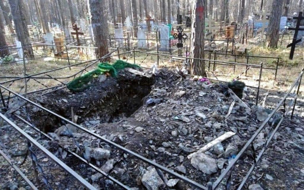 Bear dug grave and eaten corpse